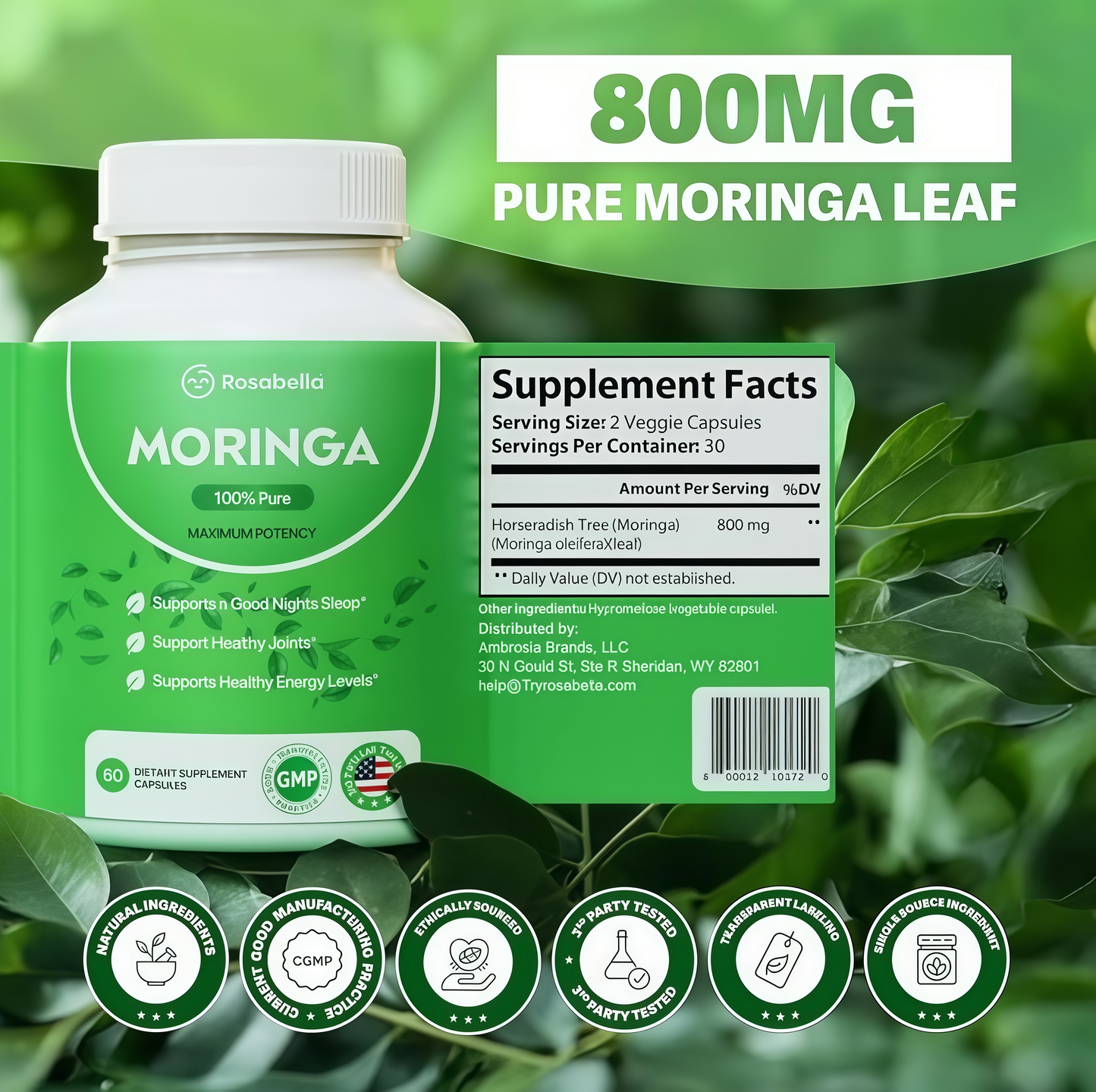Rosabella Moringa Capsules -Pure Moringa Powder, Energy, Skin, Immune &Gut Health Superfood, Rich in Antioxidants, Essential Vitamins & Amino Acids, Natural Green Superfood Supplement-60Count